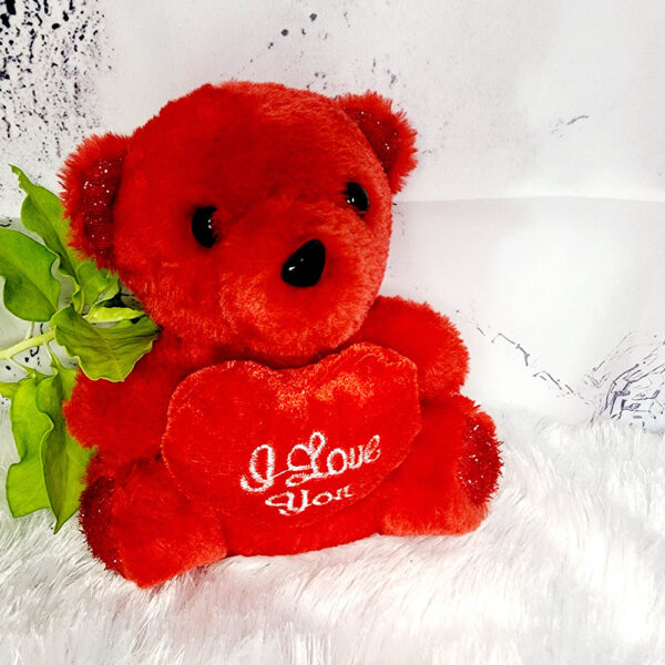 Medium Size LOVE Teddy Bear - Image 2