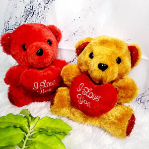 Medium Size LOVE Teddy Bear