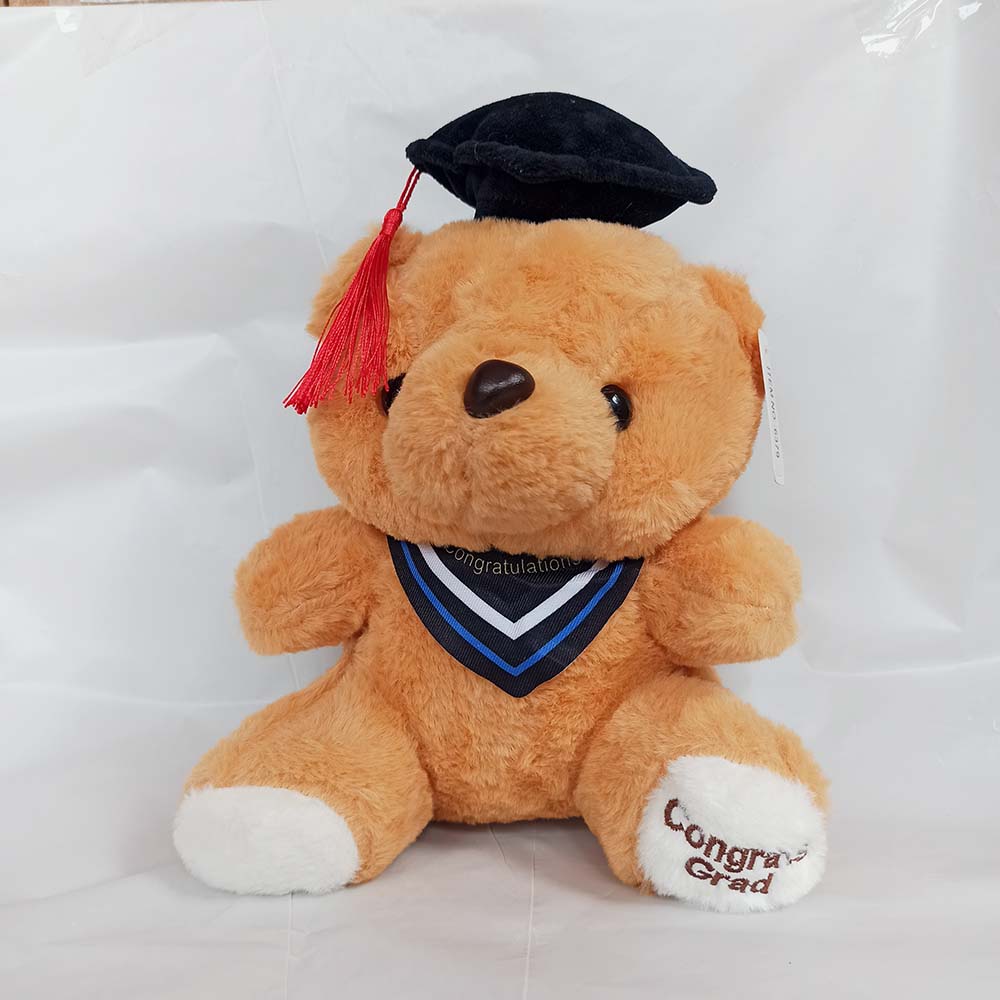 Graduation Teddy Bear