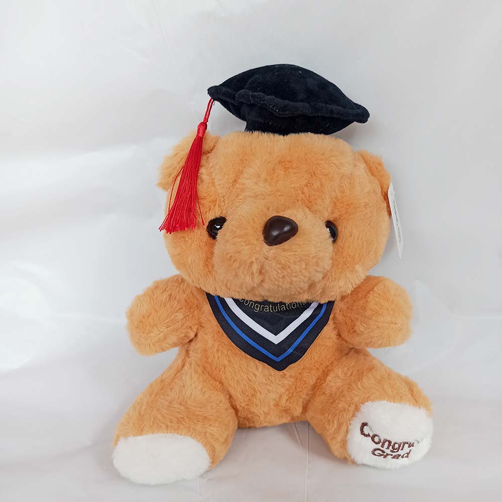 Graduation Teddy Bear - Image 4